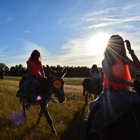 Turismo Rural 4Quintas Minhocal Bagian luar foto